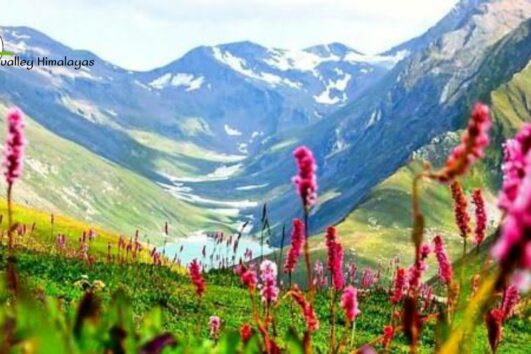 Valley Of Flowers Trek