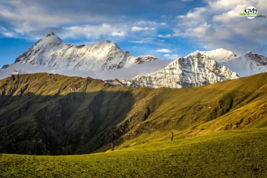 Ali Bedni bugyal trek cover image