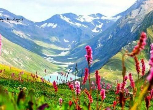 Valley Of Flowers Trek