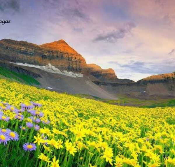 MONSOON TREK