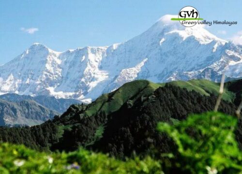 Dayara Bugyal Trek