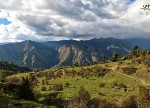 Bagji Bugyal Trek